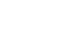 Smart Steel Logo
